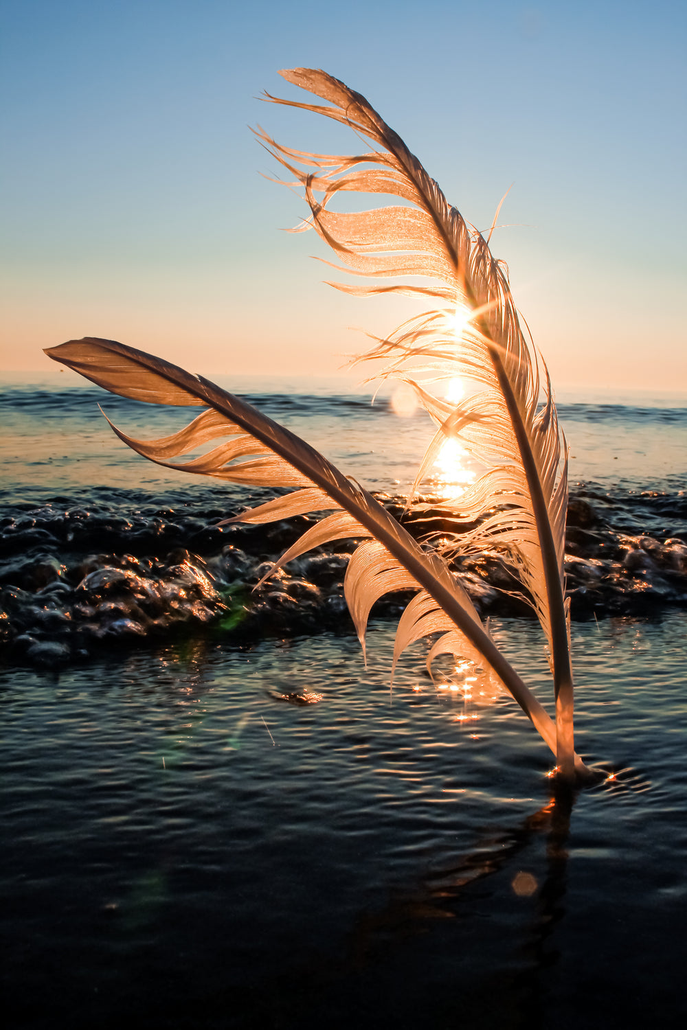 sun-sets-behind-two-feathers-in-the-sand